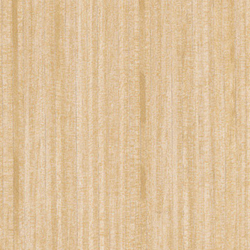Blond Echo Edgebanding, 15/16 inch x 600'