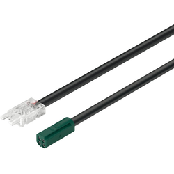 4 Inch (100 mm) Loox5 Multiwhite Lead Ribbon for 24 V 8 mm LED Silicone Strip Light
