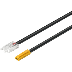 Loox 78-3/4 Inch Length x 8mm Width Light Lead for 12 V Monochrome Strip (Tape) Lights 