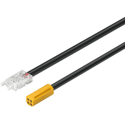 Final Sale, Final Sale, 78-3/4 Inch (2000 mm) Loox5 Multiwhite Lead Ribbon for 12 V 8 mm LED Strip Light