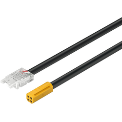 78-3/4 Inch (2000 mm) Loox5 RGB Lead Ribbon for 12 V LED Strip Light