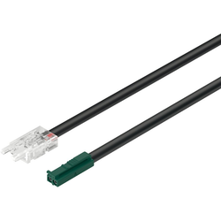  Loox 19-11/16 Inch Length x 8mm Width Light Lead for 24 V Monochrome Strip (Tape) Lights