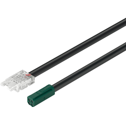78-3/4 Inch (2000 mm) Loox5 RGB Lead Ribbon for 24 V LED Strip Light