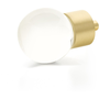 Satin Brass
